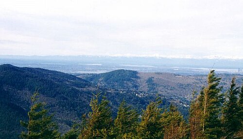 Tiger Mountain State Forest